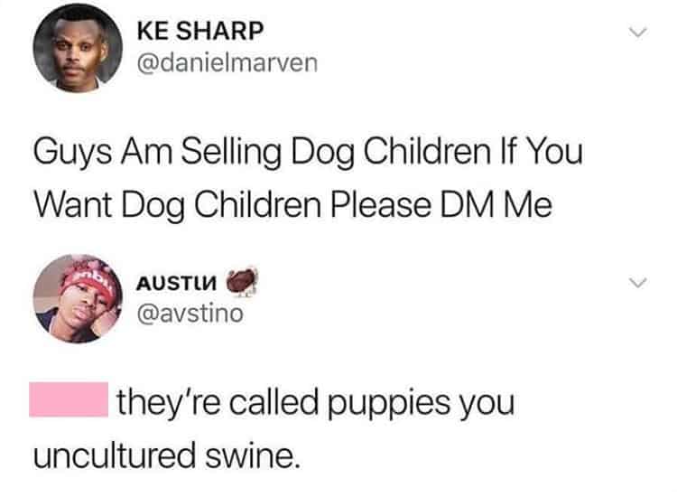 cachorros llamados perros-niños-gente-saliendo