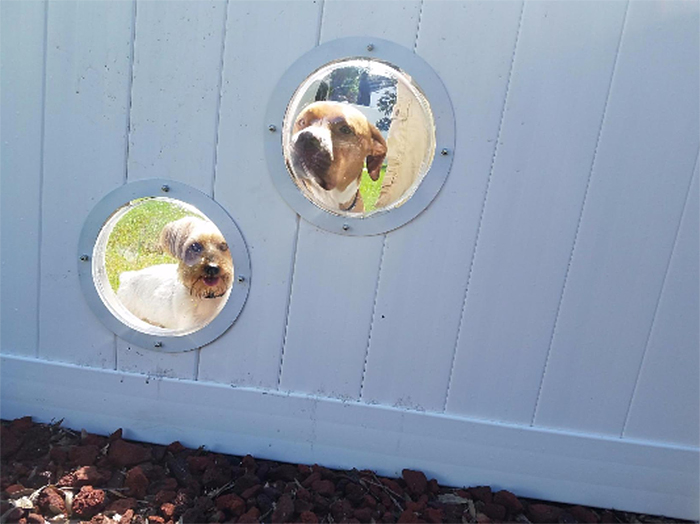 cúpula acrílica transparente para perros