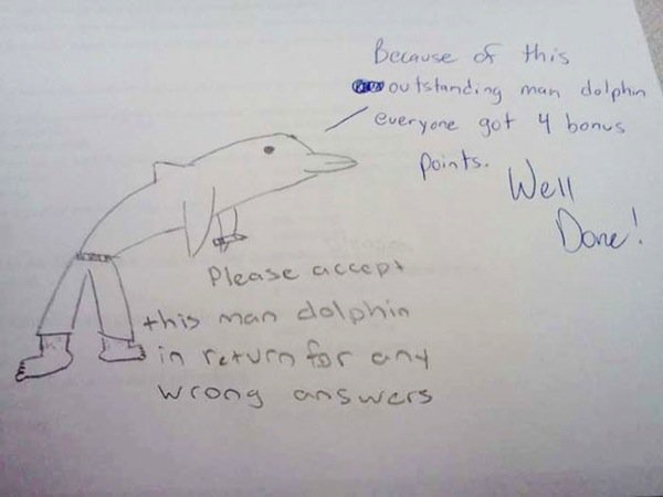 profesor de delfines