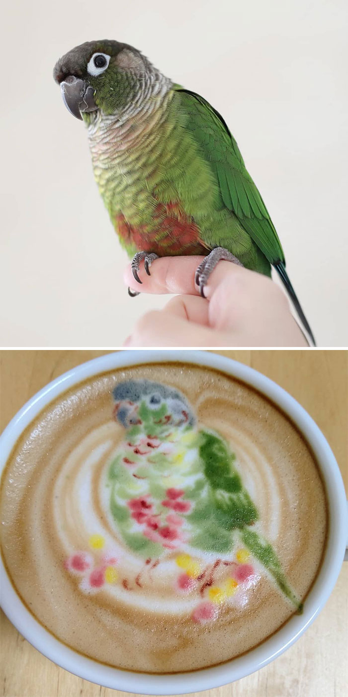 ku-san latte art pájaros rosas verdes loro