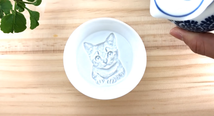 plato de salsa redestu pintura gato