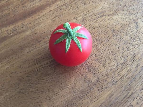 Fotos de comida extrañamente feliz tomate perfecto