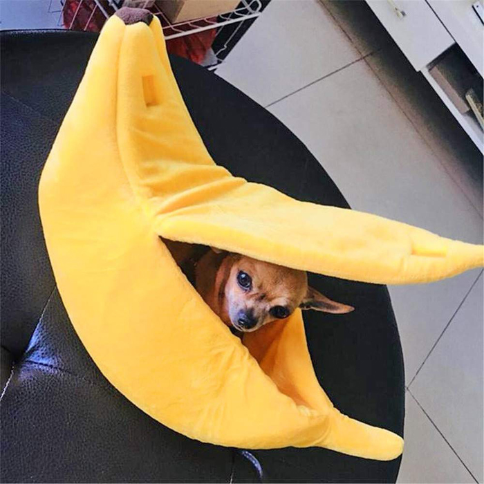 pequeño perro banana gato cama