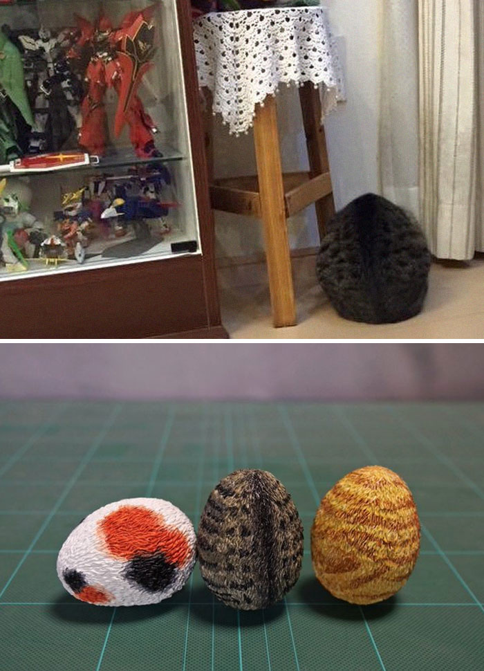 Imágenes inspiradas en memes de gatos con forma de huevo