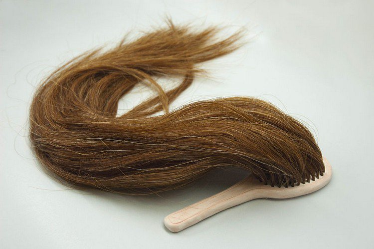 cepillo de pelo