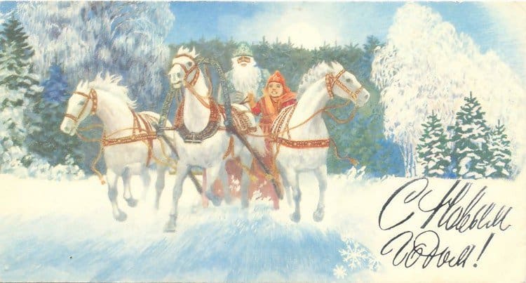tarjeta de caballo blanco