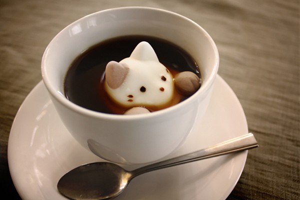 café de gato
