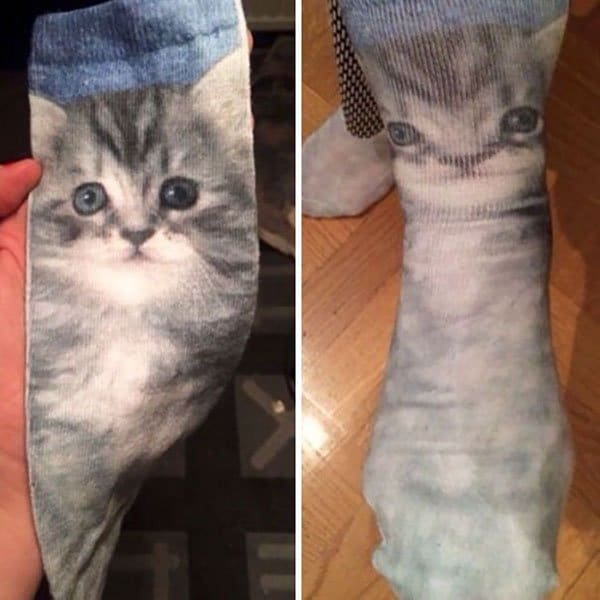Desastres Ropa gatitos calcetines