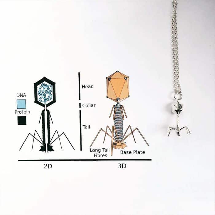 Collar de Backteriophage Piezas de joyería inspiradas en la ciencia