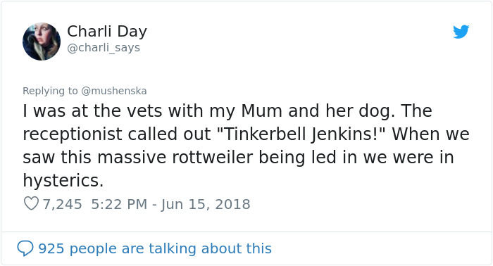 nombres divertidos de mascotas tinkerbell jenkins