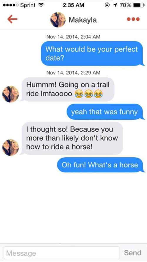tinder-funnies-whats-a-horse