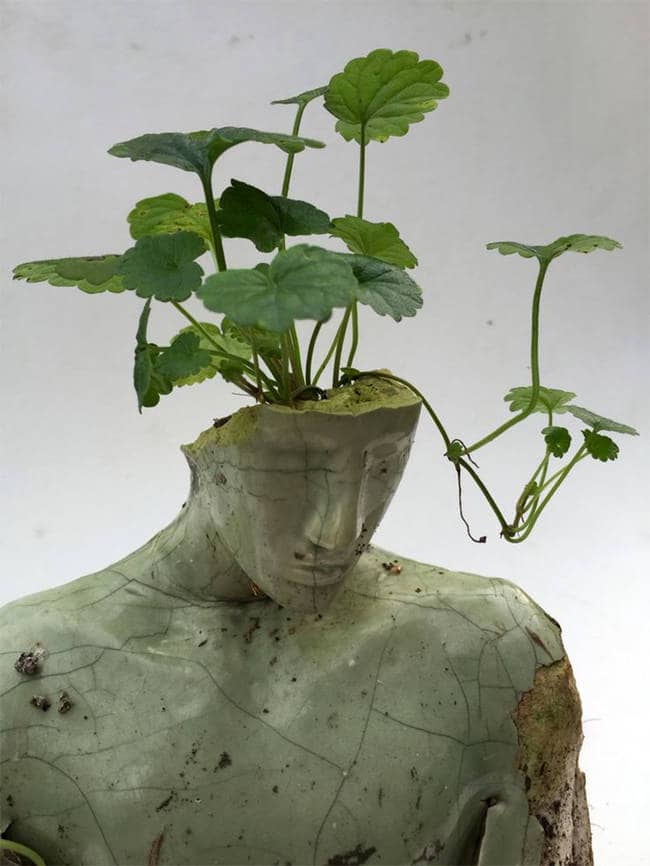 cabeza planta estatua humana