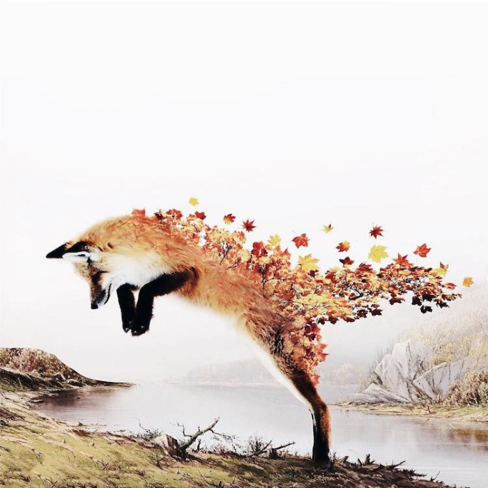 lobo flores fotografía surrealista luisa azevedo