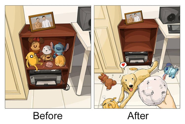 alimento-antes-perro-vs-vida-después-destrucción-del-perro