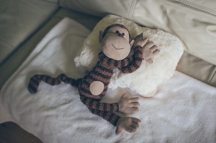 mono en una almohada