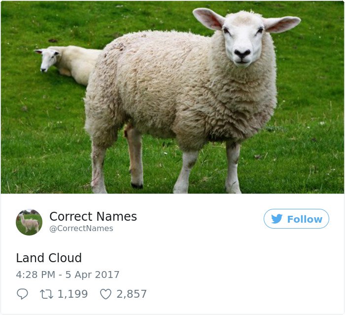 Cuenta de Twitter cambia el nombre de Cloud of Daily Things