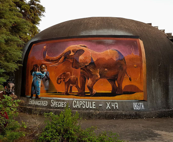 elefante cápsula graffiti objetos transformación objetos autobús odeith