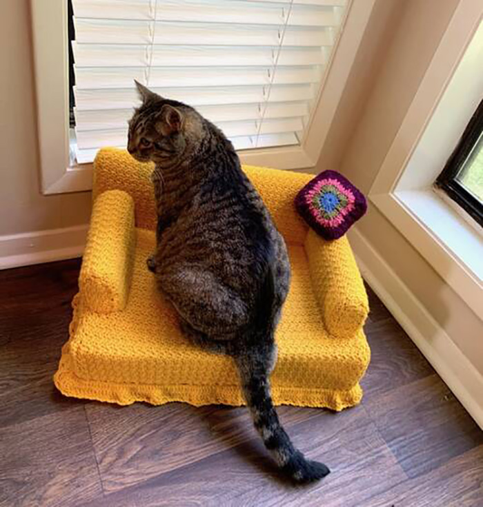 Kitty sentada en un mini sofá de ganchillo amarillo