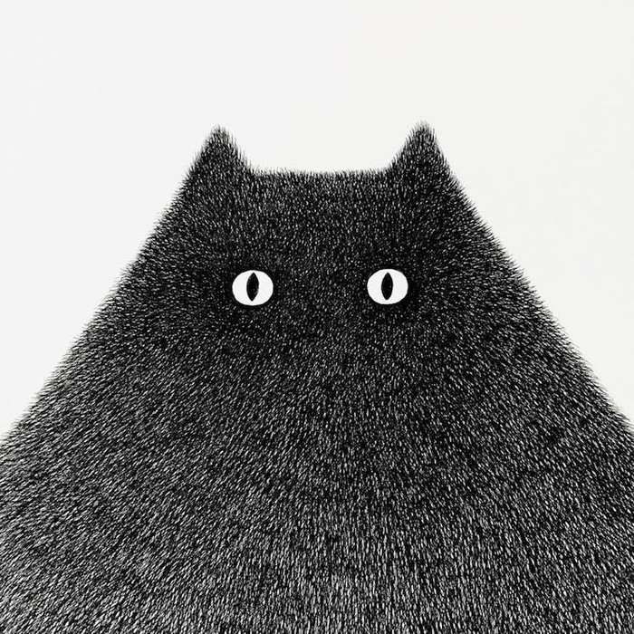 gatos negros esponjosos dibujos a tinta kamwei fong mini cabeza