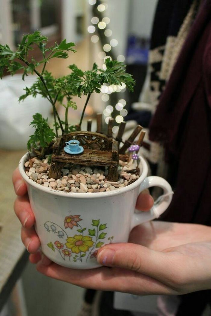 banco de jardín de taza de té