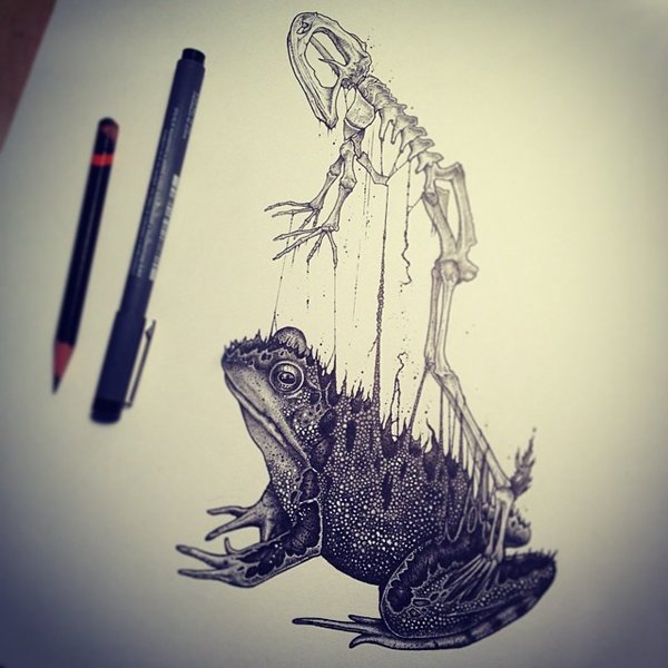 dibujos de calaveras de animales-paul-jackson-rana