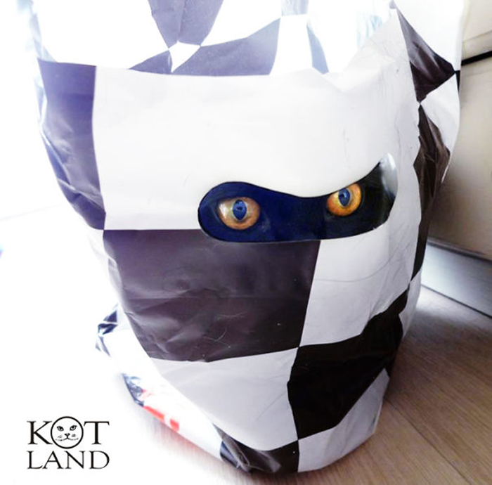Máscara de bolsa de plástico de gatito disimulado oculto