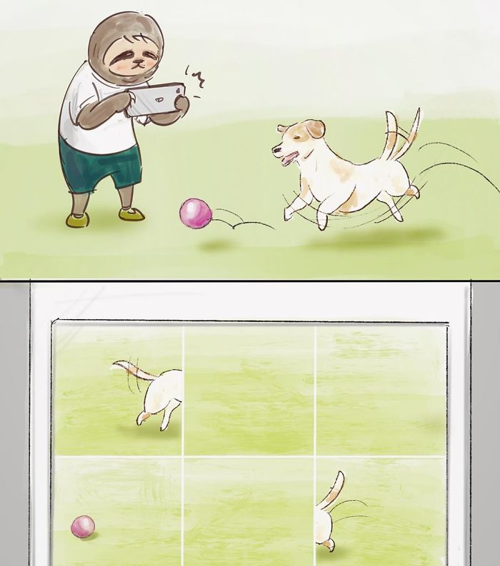 Pereza tomando fotos de un perro jugando con una pelota