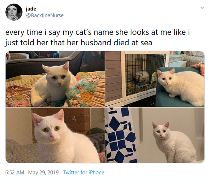 La extraña reacción de Kitty a su nombre
