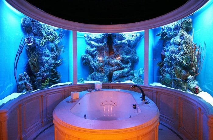 baño de acuario