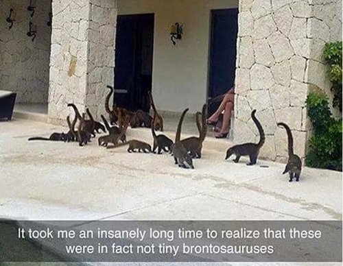 imagenes-de-animales-graciosas-diminuto-brontosaurio