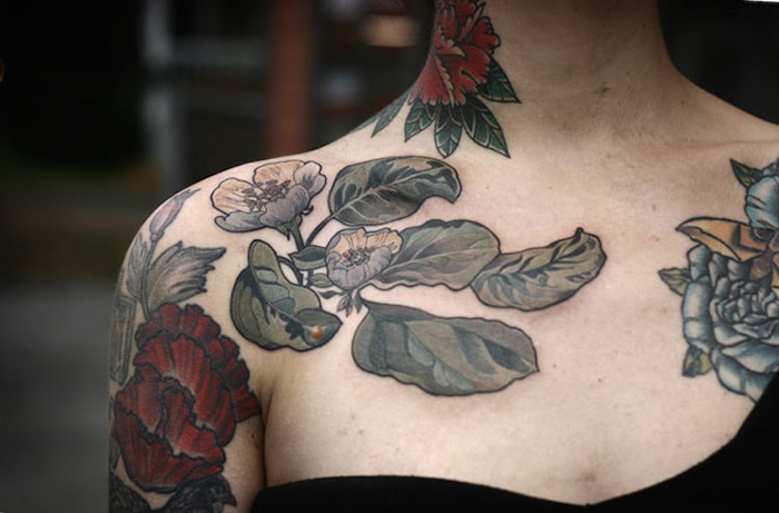 ilustraciones botánicas tatuajes florales