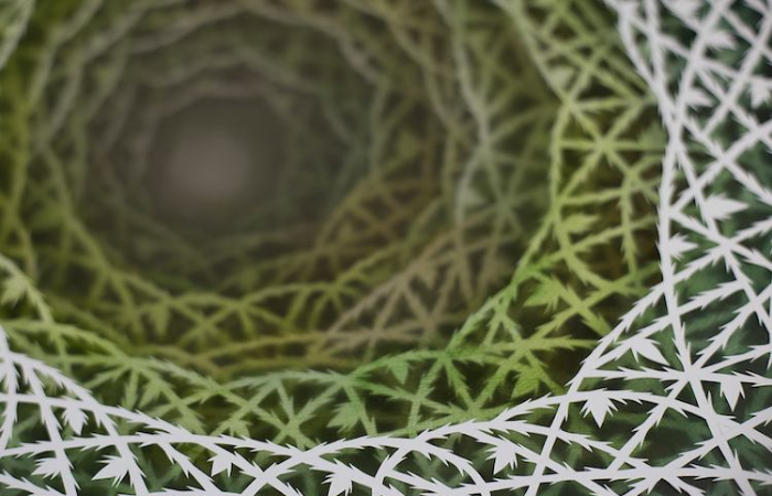 efectos de luz cuerdas plantas arte caja de papel elisa mearelli