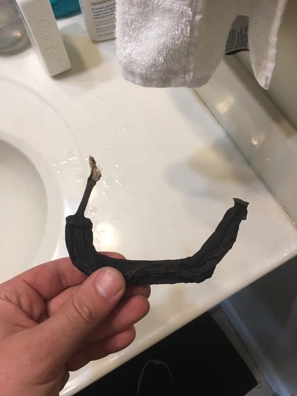 imágenes interesantes de un plátano de un año