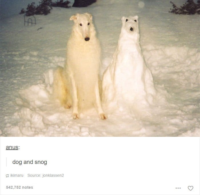 perro-y-perro-de-nieve