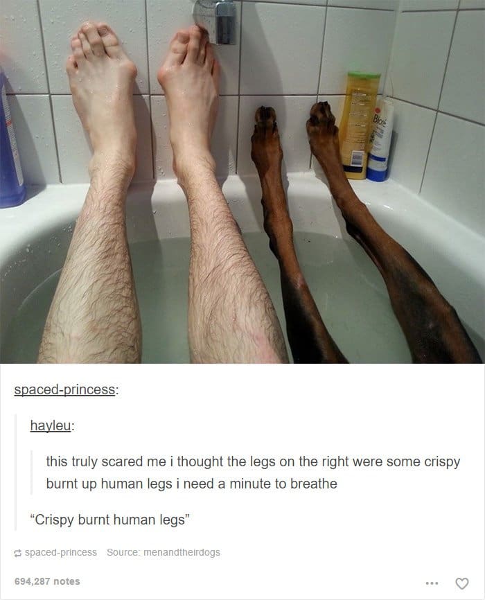 pies-humanos-quemados-crujientes-pies-de-perro-en-el-baño