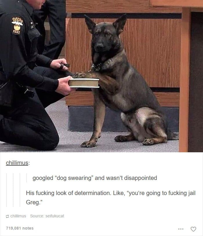 juramento de perro