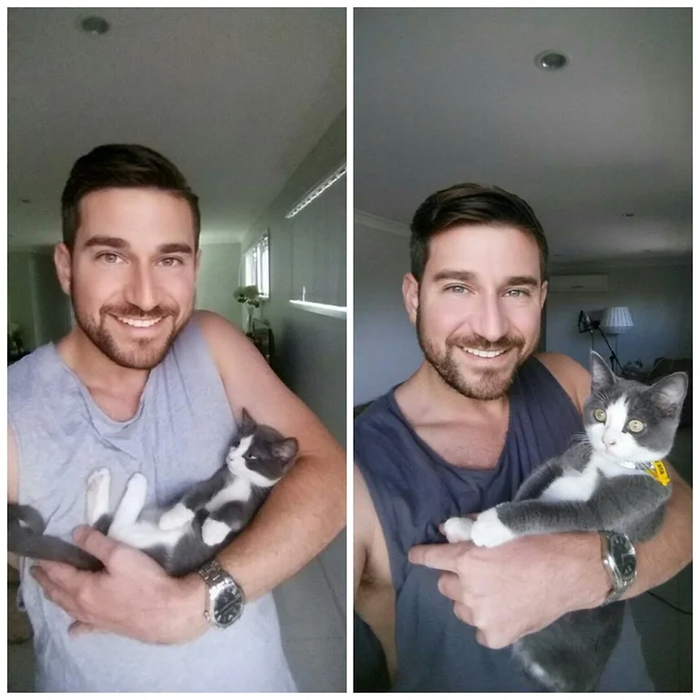 gato adoptado seis semanas después