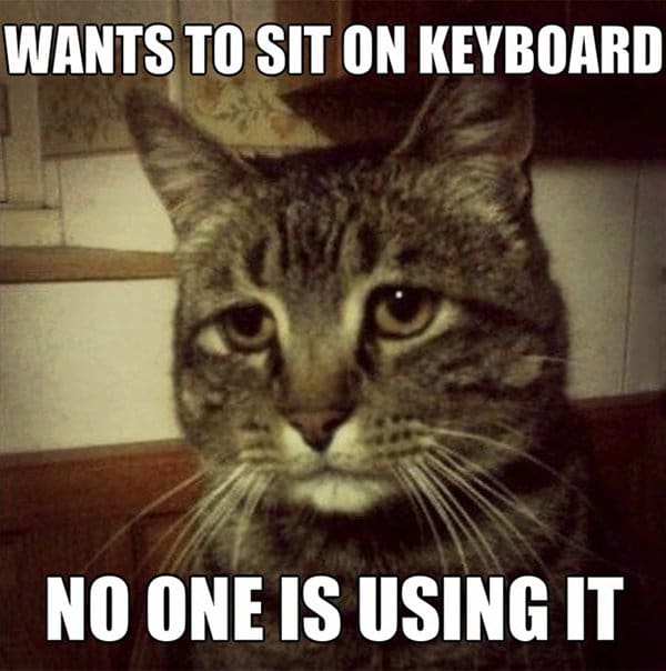 Problemas con gatos nadie está usando un teclado