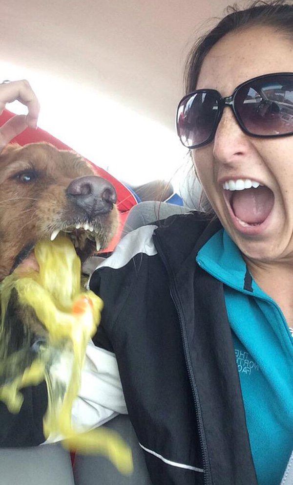 perro vomitando medio selfie