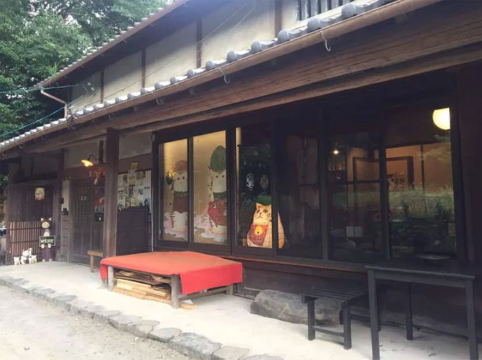 Shrine nyan cat nyan ji contra Japón