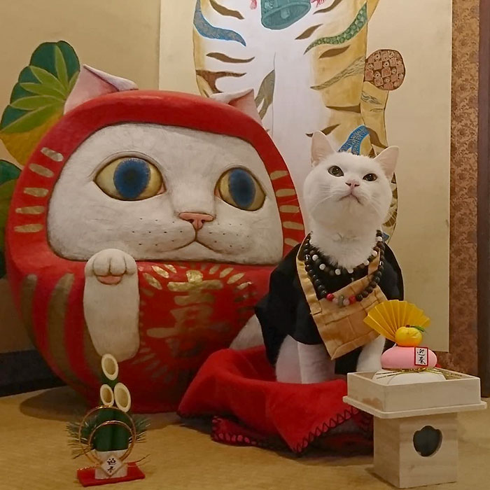 Nyan nyan ji cat shrine en koyuki, japón en el altar