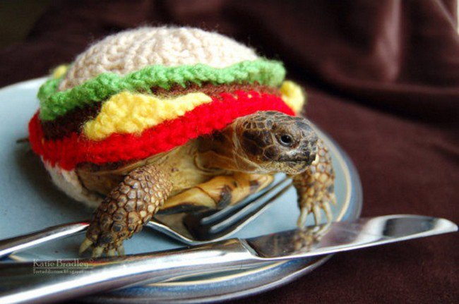 hamburguesa de tortuga suéter