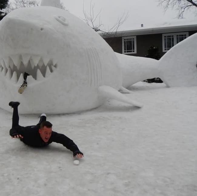 Un tiburón de las nieves atrapa a la gente con un fantástico sentido del humor
