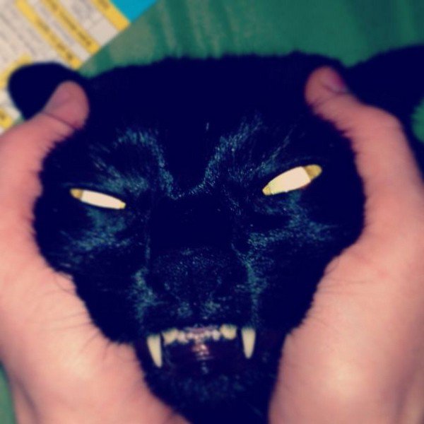 desagradable cara de gato aterrador negro