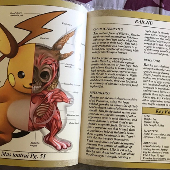 pokenatomía el libro de anatomía Pokémon raichu
