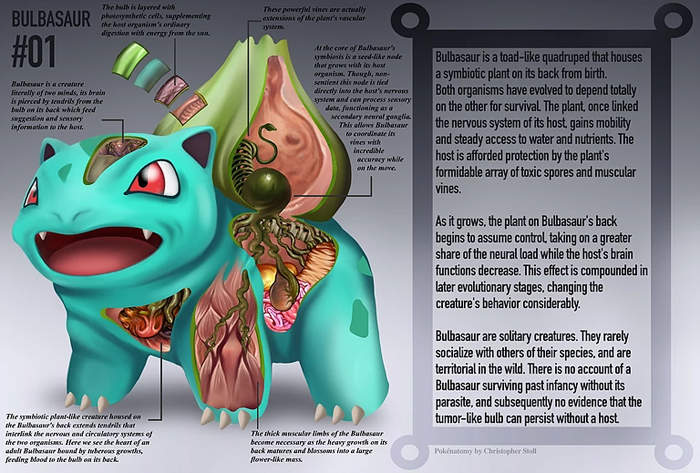 pokenatomía el libro de anatomía Pokémon bulbasaur