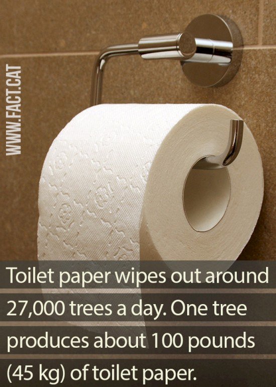 papel higiénico con el hecho de los árboles