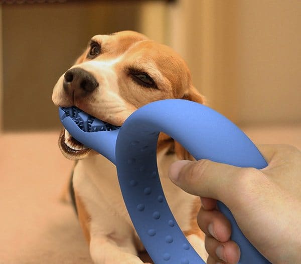 juguete de limpieza de dientes de perro