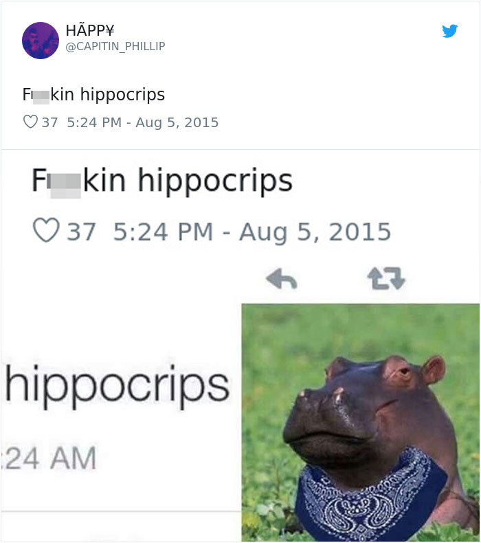 Hippocrips divertidas palabras malentendidas