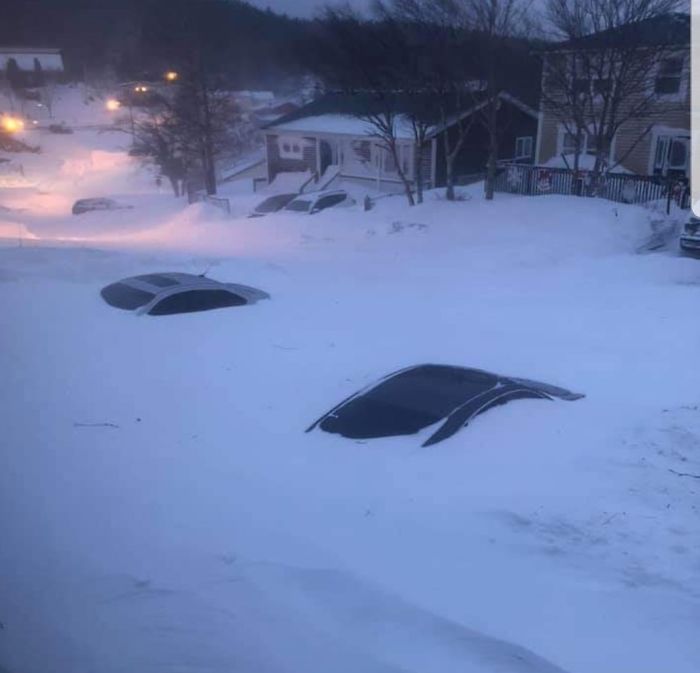 Los coches de la ventisca de Terranova se han cubierto de nieve